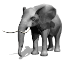 elefant imatges-animades-gif
